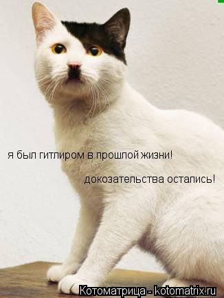 Котоматрица: я был гитлиром в прошлой жизни! докозательства остались!