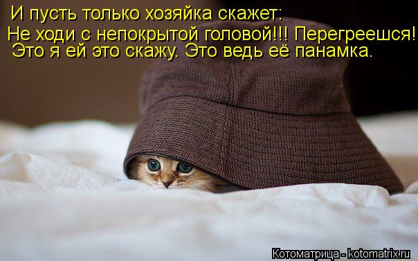 Котоматрица: И пусть только хозяйка скажет: Не ходи с непокрытой головой!!! Перегреешся! Это я ей это скажу. Это ведь её панамка.
