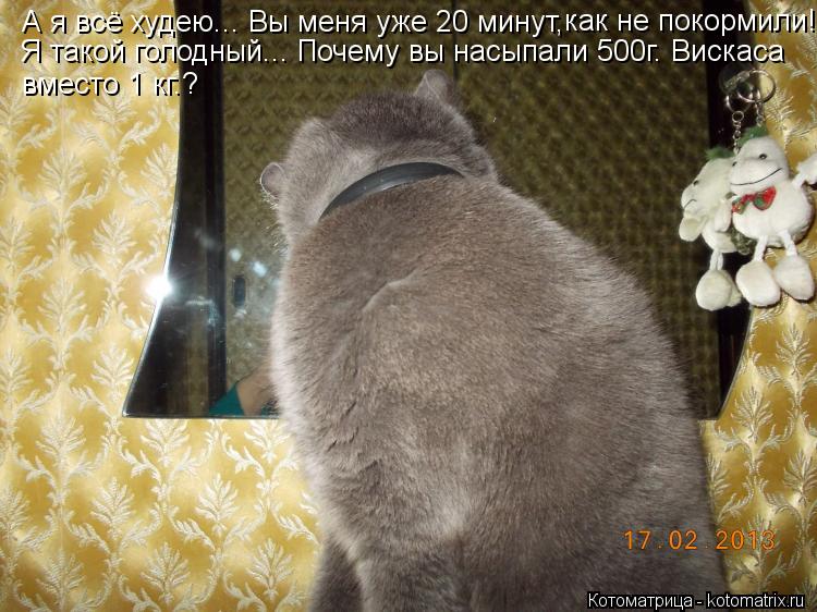 Котоматрица: А я всё худею... Вы меня уже 20 минут, как не покормили! Я такой голодный... Почему вы насыпали 500г. Вискаса вместо 1 кг.?