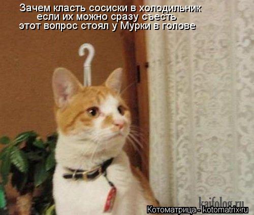 Зачем класть сосиски в холодильник если их можно сразу съесть этот вопрос стоял у Мурки в голове... Котоматрица: Зачем класть сосиски в холодильник если их можно сразу съесть этот вопрос стоял у Мурки в голове