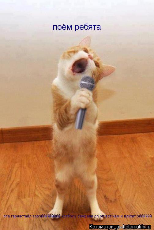 Котоматрица: поём ребята опа гарнастайл ээээййййййййй колбосу сажрали оп оп вот нам и влитит эйййййй