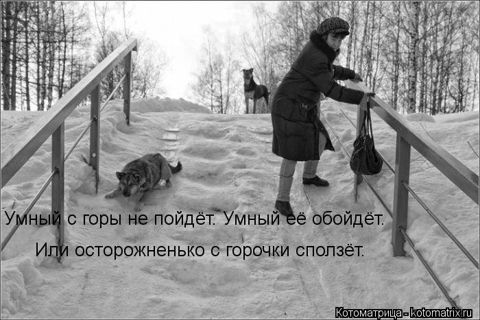 Котоматрица: Умный с горы не пойдёт. Умный её обойдёт. Или осторожненько с горочки сползёт.
