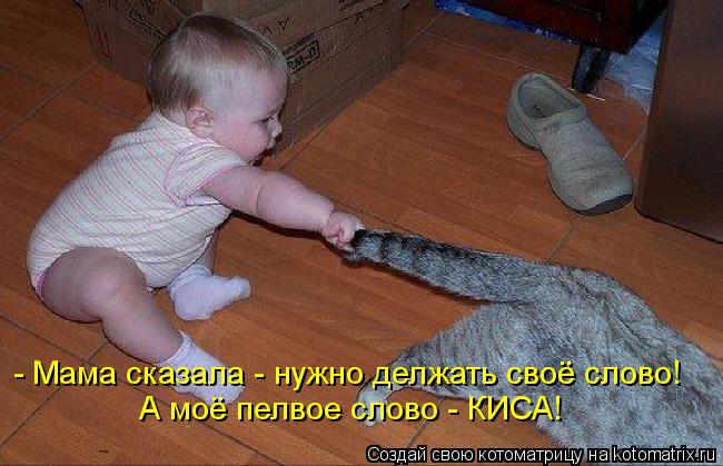 Котоматрица: - Мама сказала - нужно делжать своё слово! А моё пелвое слово - КИСА!