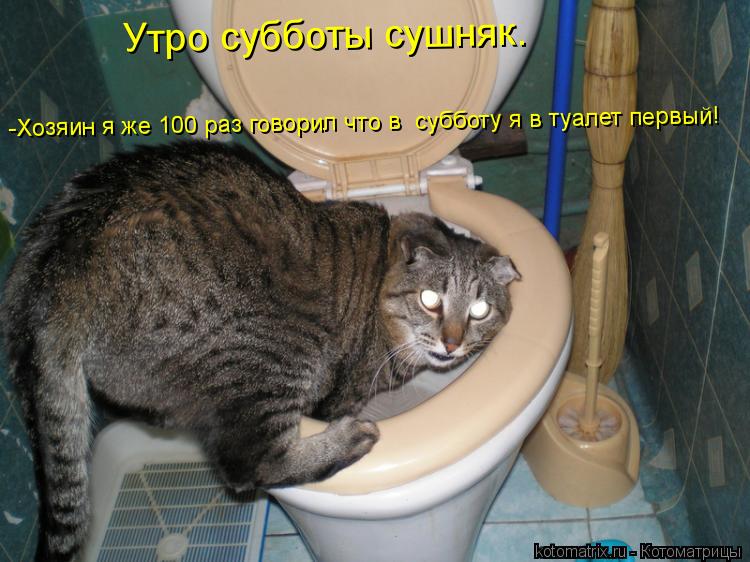 Котоматрица: Утро субботы сушняк. -Хозяин я же 100 раз говорил что в  субботу я в туалет первый!