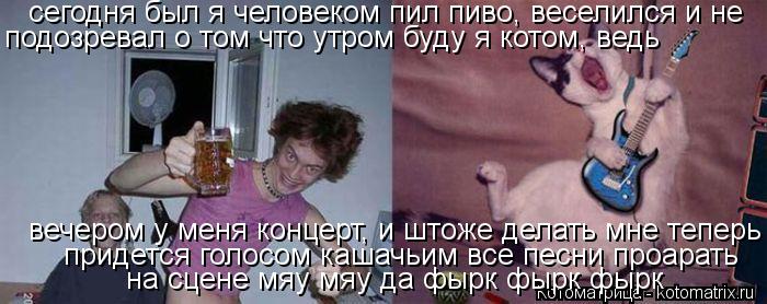 Котоматрица: сегодня был я человеком пил пиво, веселился и не  на сцене мяу мяу да фырк фырк фырк   придется голосом кашачьим все песни проарать  вечером у