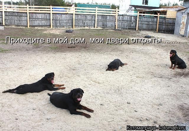Котоматрица: Приходите в мой дом, мои двери открыты........