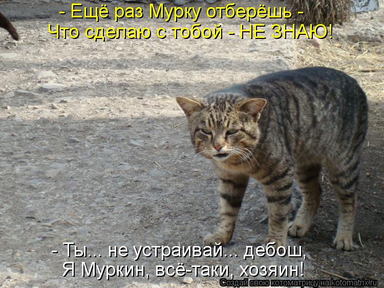 Котоматрица: - Ещё раз Мурку отберёшь -  Что сделаю с тобой - НЕ ЗНАЮ! - Ты... не устраивай... дебош, Я Муркин, всё-таки, хозяин!
