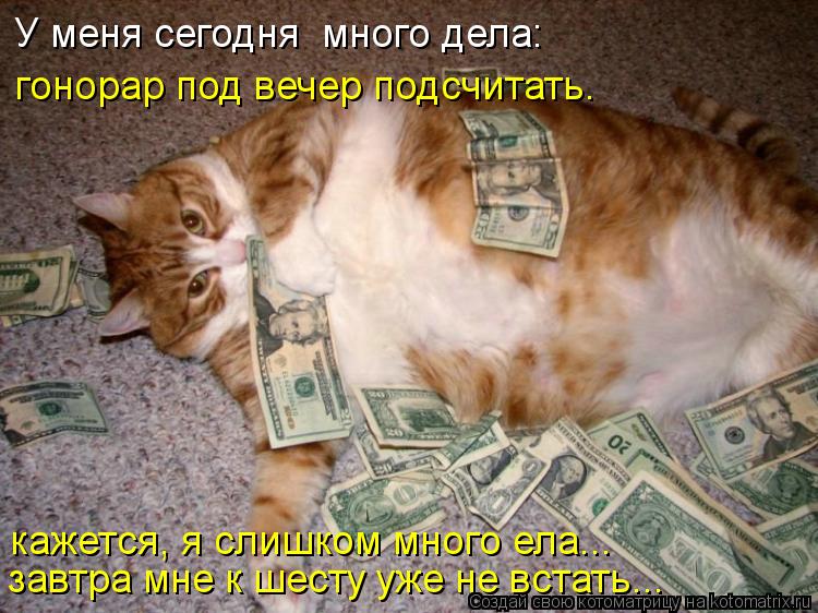 У меня сегодня много дела: кажется, я слишком много ела... завтра мне к шесту уже не встать... гонор... Котоматрица: У меня сегодня много дела: кажется, я слишком много ела... завтра мне к шесту уже не встать... гонорар под вечер подсчитать.
