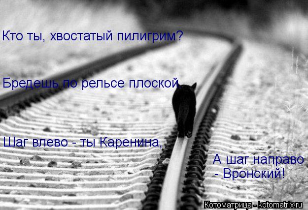 Котоматрица: Бредешь по рельсе плоской. Шаг влево - ты Каренина, Кто ты, хвостатый пилигрим? А шаг направо  - Вронский!