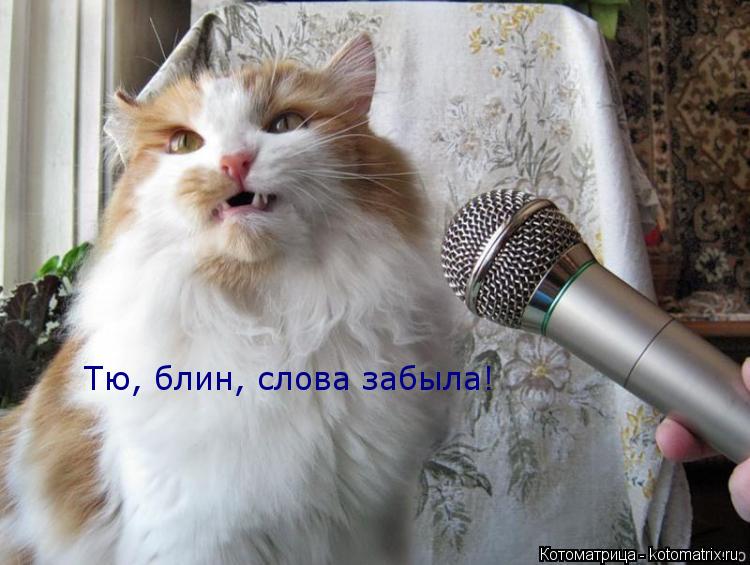 Котоматрица: Тю, блин, слова забыла!