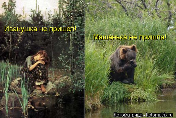 Котоматрица: Иванушка не пришел! Машенька не пришла!