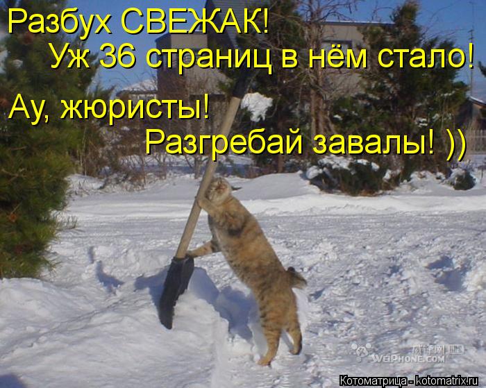 Котоматрица: Разбух СВЕЖАК!  Ау, жюристы!  Разгребай завалы! )) Уж 36 страниц в нём стало!