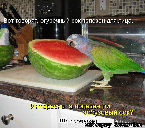 Котоматрица: Вот говорят, огуречный сок полезен для лица. Интересно, а полезен ли арбузовый сок? Ща проверим...