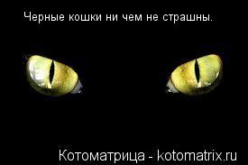 Котоматрица: Черные кошки ни чем не страшны.