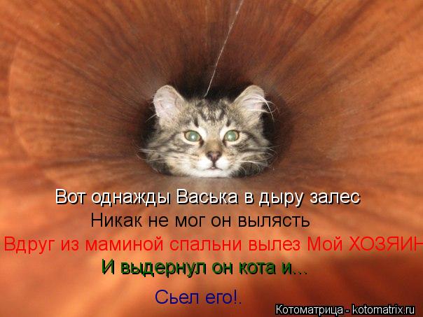 Вот однажды Васька в дыру залес Никак не мог он вылясть Вдруг из маминой спальни вылез Мой ХОЗЯИН И ... Котоматрица: Вот однажды Васька в дыру залес Никак не мог он вылясть Вдруг из маминой спальни вылез Мой ХОЗЯИН И выдернул он кота и... Сьел его!.
