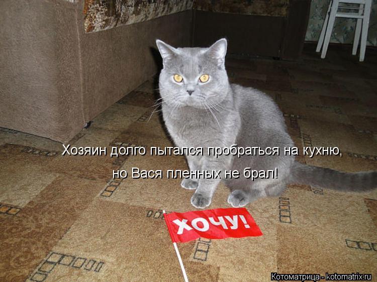 Котоматрица: Хозяин долго пытался пробраться на кухню, но Вася пленных не брал!