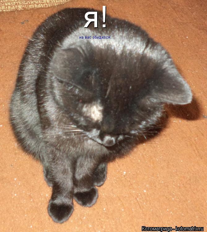 я! на вас обидился...... Котоматрица: я! на вас обидился...
