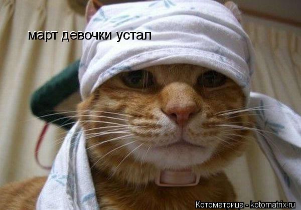 март девочки устал март девочки устал... Котоматрица: март девочки устал март девочки устал
