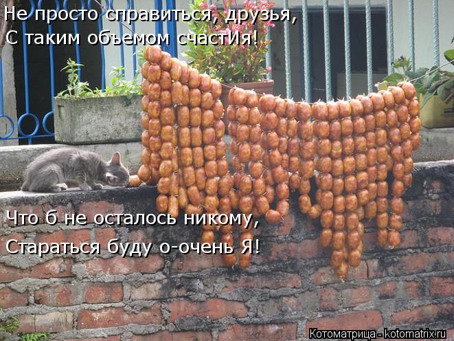 Не просто справиться, друзья, С таким объемом счастИя! Что б не осталось никому, Стараться буду о-оче... Котоматрица: Не просто справиться, друзья, С таким объемом счастИя! Что б не осталось никому, Стараться буду о-очень Я!