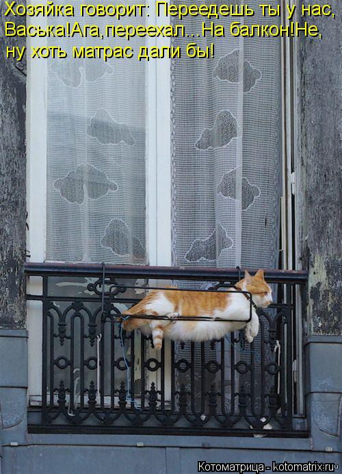Котоматрица: Васька!Ага,переехал...На балкон!Не, Хозяйка говорит: Переедешь ты у нас, ну хоть матрас дали бы!