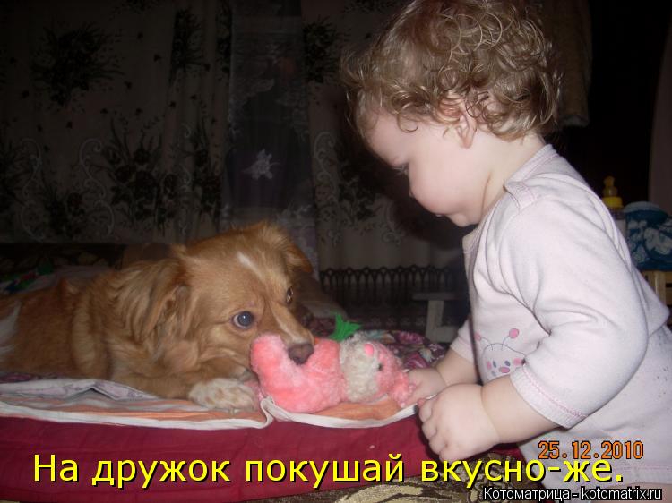 Котоматрица: На дружок покушай вкусно-же.