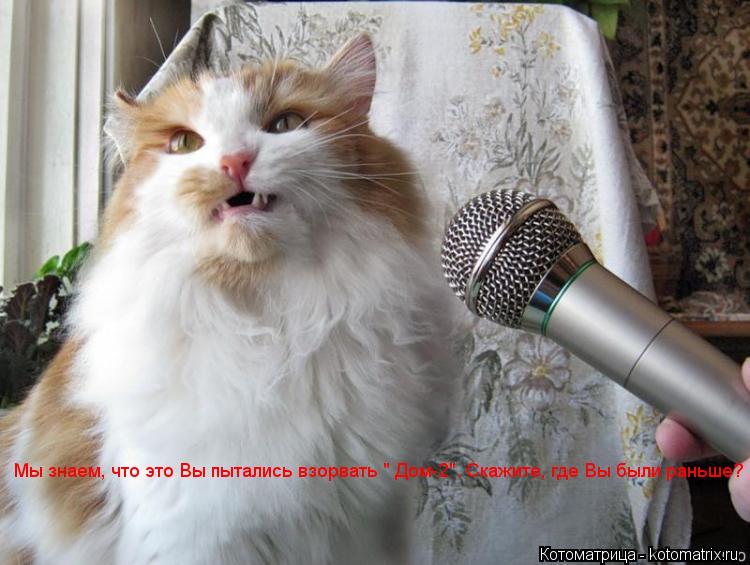 Котоматрица: Мы знаем, что это Вы пытались взорвать " Дом-2". Скажите, где Вы были раньше?