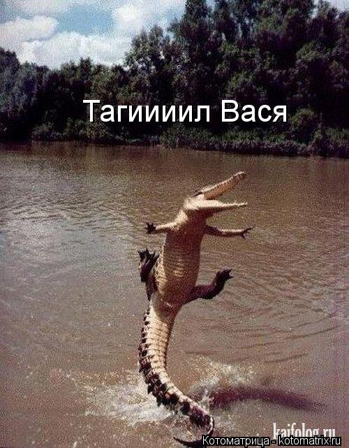 Тагиииил Вася... Котоматрица: Тагиииил Вася