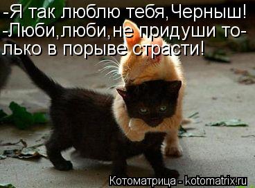 -Я так люблю тебя,Черныш! -Люби,люби,не придуши то- лько в порыве страсти!... Котоматрица: -Я так люблю тебя,Черныш! -Люби,люби,не придуши то- лько в порыве страсти!