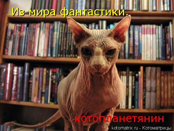 Из мира фантастики. котопланетянин... Котоматрица: Из мира фантастики. котопланетянин