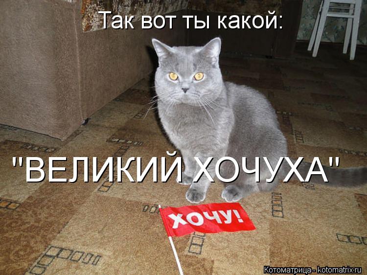 Котоматрица: Так вот ты какой: "ВЕЛИКИЙ ХОЧУХА"