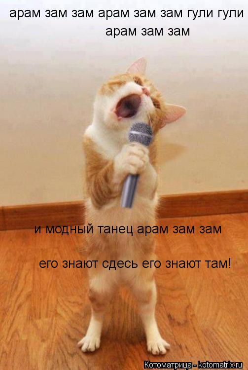 Котоматрица: арам зам зам арам зам зам гули гули  арам зам зам и модный танец арам зам зам его знают сдесь его знают там!