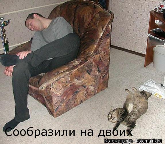 Котоматрица: Сообразили на двоих