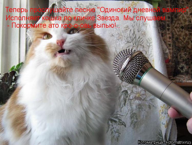 Теперь прослушайте песню "Одинокий дневной вампир". Исполняет кошка по кличке Звезда. Мы слушаем. - П... Котоматрица: Теперь прослушайте песню "Одинокий дневной вампир". Исполняет кошка по кличке Звезда. Мы слушаем. - Покормите ато кро-о-овь выпью!..