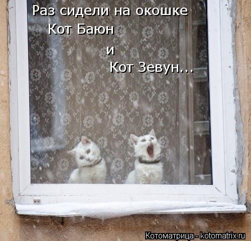 Раз сидели на окошке Кот Баюн и Кот Зевун...... Котоматрица: Раз сидели на окошке Кот Баюн и Кот Зевун...