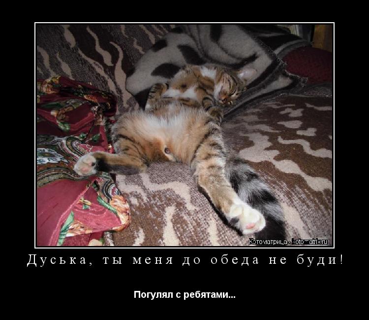 Дуська, ты меня до обеда не буди! Погулял с ребятами...... Котоматрица: Дуська, ты меня до обеда не буди! Погулял с ребятами...