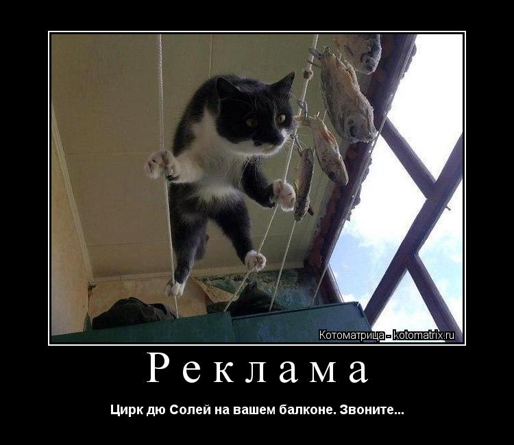 Реклама Цирк дю Солей на вашем балконе. Звоните...... Котоматрица: Реклама Цирк дю Солей на вашем балконе. Звоните...