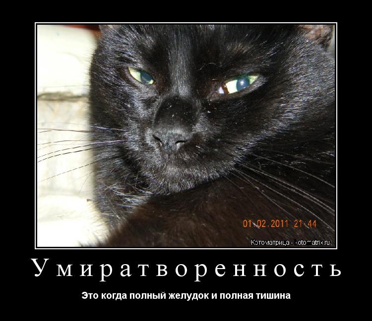 Умиратворенность Это когда полный желудок и полная тишина... Котоматрица: Умиратворенность Это когда полный желудок и полная тишина