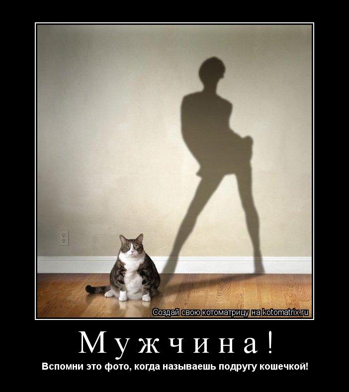 Котоматрица: Мужчина! Вспомни это фото, когда называешь подругу кошечкой!