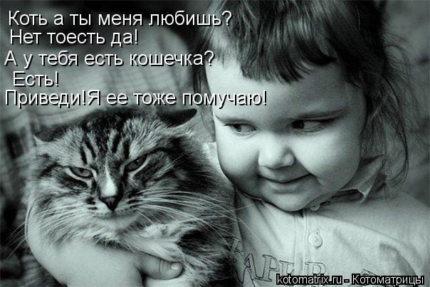 Котоматрица: Коть а ты меня любишь? Нет тоесть да! А у тебя есть кошечка? Есть! Приведи!Я ее тоже помучаю!