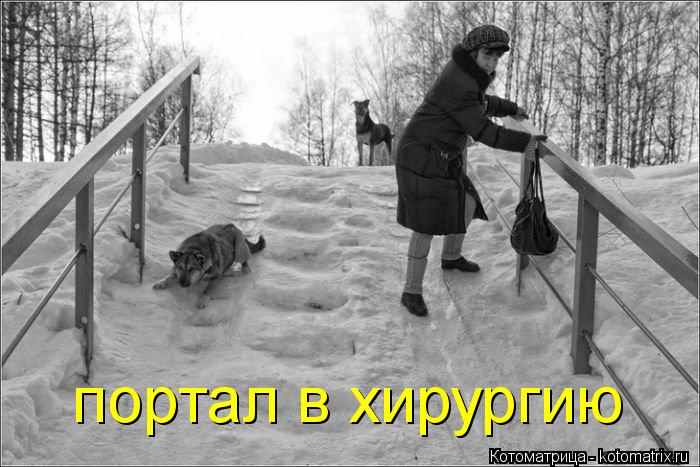 Котоматрица: портал в хирургию