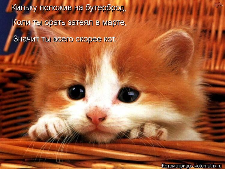 Котоматрица: Кильку положив на бутерброд,  Коли ты орать затеял в марте,  Значит ты всего скорее кот.
