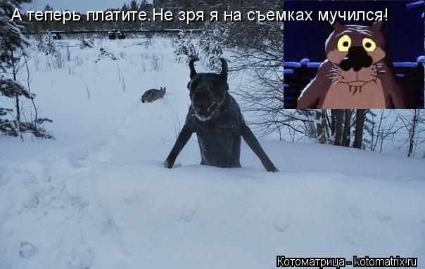 А теперь платите.Не зря я на съемках мучился!... Котоматрица: А теперь платите.Не зря я на съемках мучился!