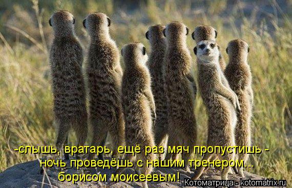 Котоматрица: -слышь, вратарь, ещё раз мяч пропустишь -  ночь проведёшь с нашим тренером...  борисом моисеевым!