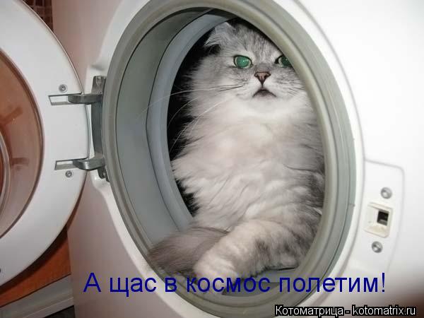 А щас в космос полетим!... Котоматрица: А щас в космос полетим!