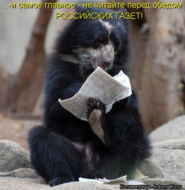 ...-и самое главное - не читайте перед обедом РОССИЙСКИХ ГАЗЕТ!... Котоматрица: ...-и самое главное - не читайте перед обедом РОССИЙСКИХ ГАЗЕТ!