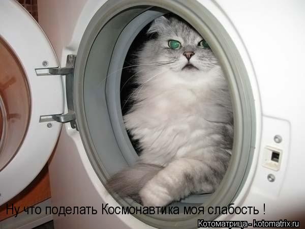 Котоматрица: Ну что поделать Космонавтика моя слабость !