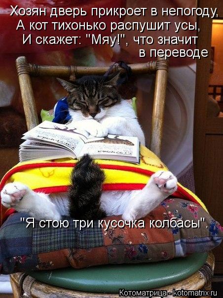 Котоматрица: Хозян дверь прикроет в непогоду,  А кот тихонько распушит усы,  И скажет: "Мяу!", что значит   в переводе "Я стою три кусочка колбасы".