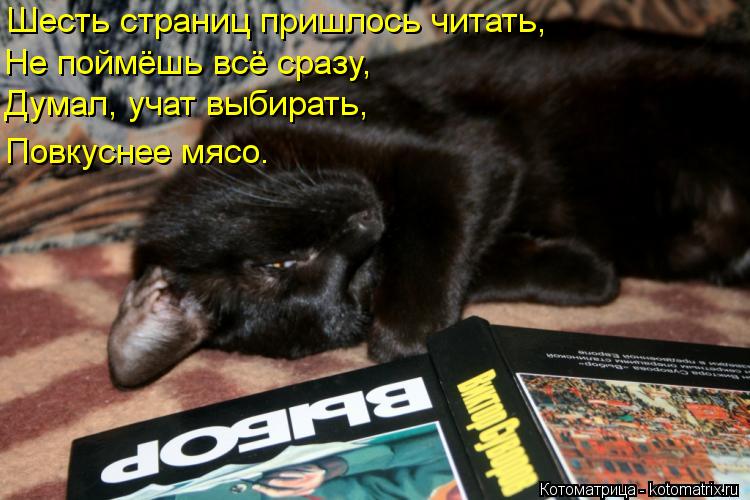 Котоматрица: Шесть страниц пришлось читать,  Не поймёшь всё сразу, Думал, учат выбирать,  Повкуснее мясо.