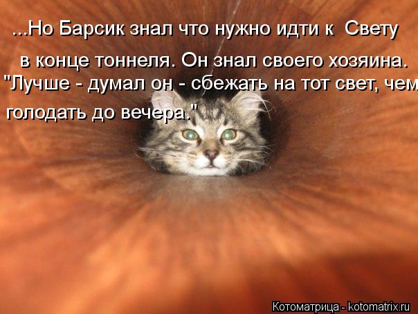 ...Но Барсик знал что нужно идти к Свету в конце тоннеля. Он знал своего хозяина. "Лучше - думал он ... Котоматрица: ...Но Барсик знал что нужно идти к Свету в конце тоннеля. Он знал своего хозяина. "Лучше - думал он - сбежать на тот свет, чем голодать до вечера