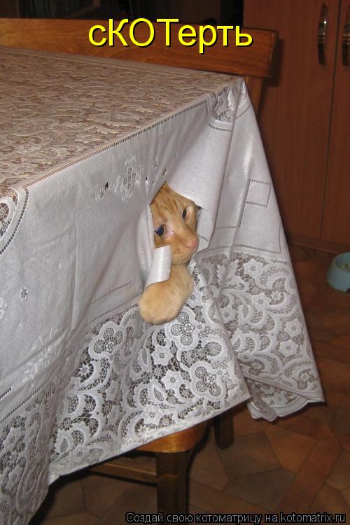 Котоматрица: сКОТерть